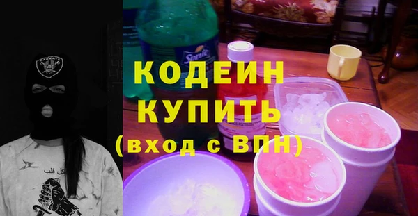 индика Медвежьегорск