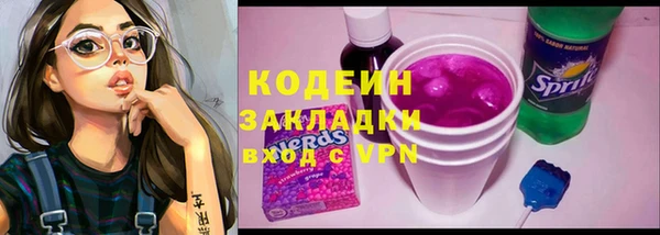 индика Медвежьегорск