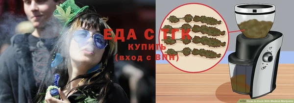 индика Медвежьегорск