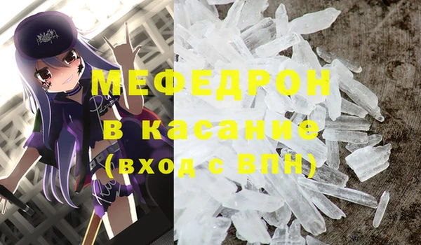 индика Медвежьегорск