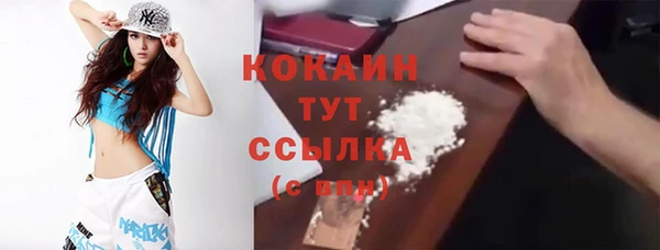 индика Медвежьегорск