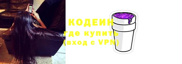 индика Медвежьегорск