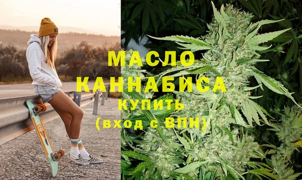 индика Медвежьегорск