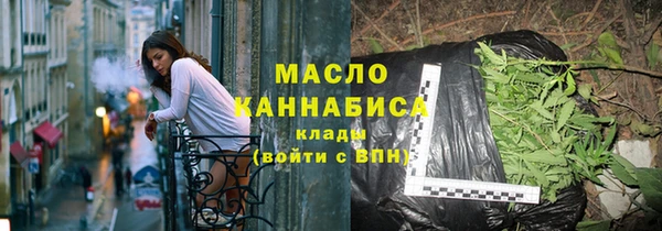 индика Медвежьегорск