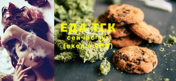индика Медвежьегорск
