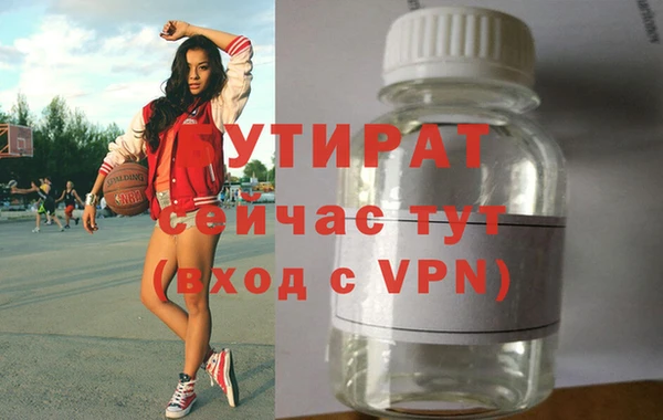 индика Медвежьегорск