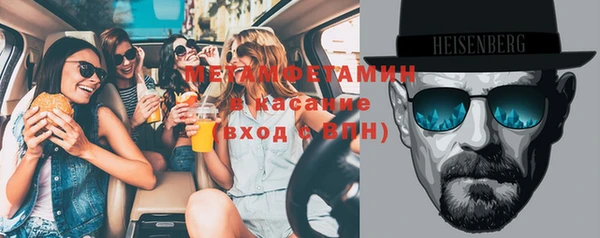 индика Медвежьегорск