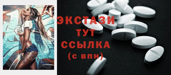 индика Медвежьегорск