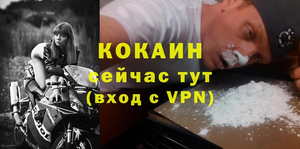 индика Медвежьегорск