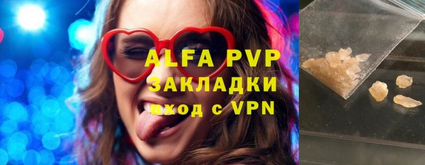 индика Медвежьегорск