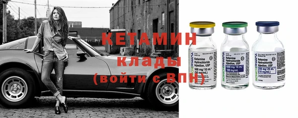 индика Медвежьегорск